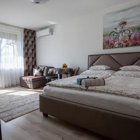 Aliz 米什科尔茨