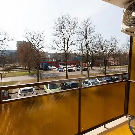 Aliz * 米什科尔茨