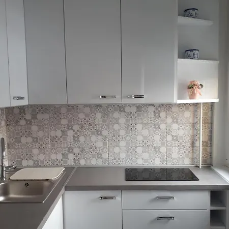 公寓 Aliz 米什科尔茨