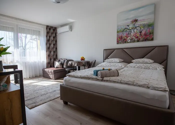 Aliz 米什科尔茨