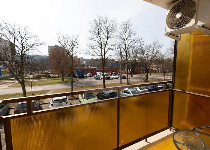 Aliz * 米什科尔茨