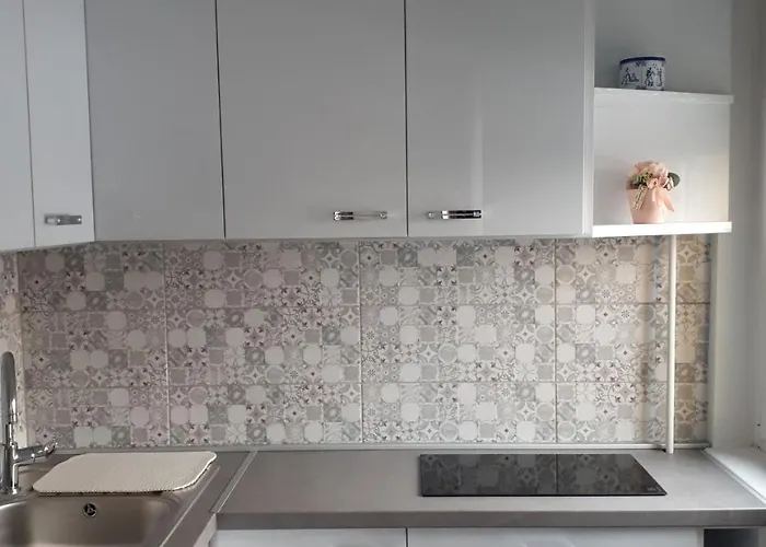 公寓 Aliz 米什科尔茨